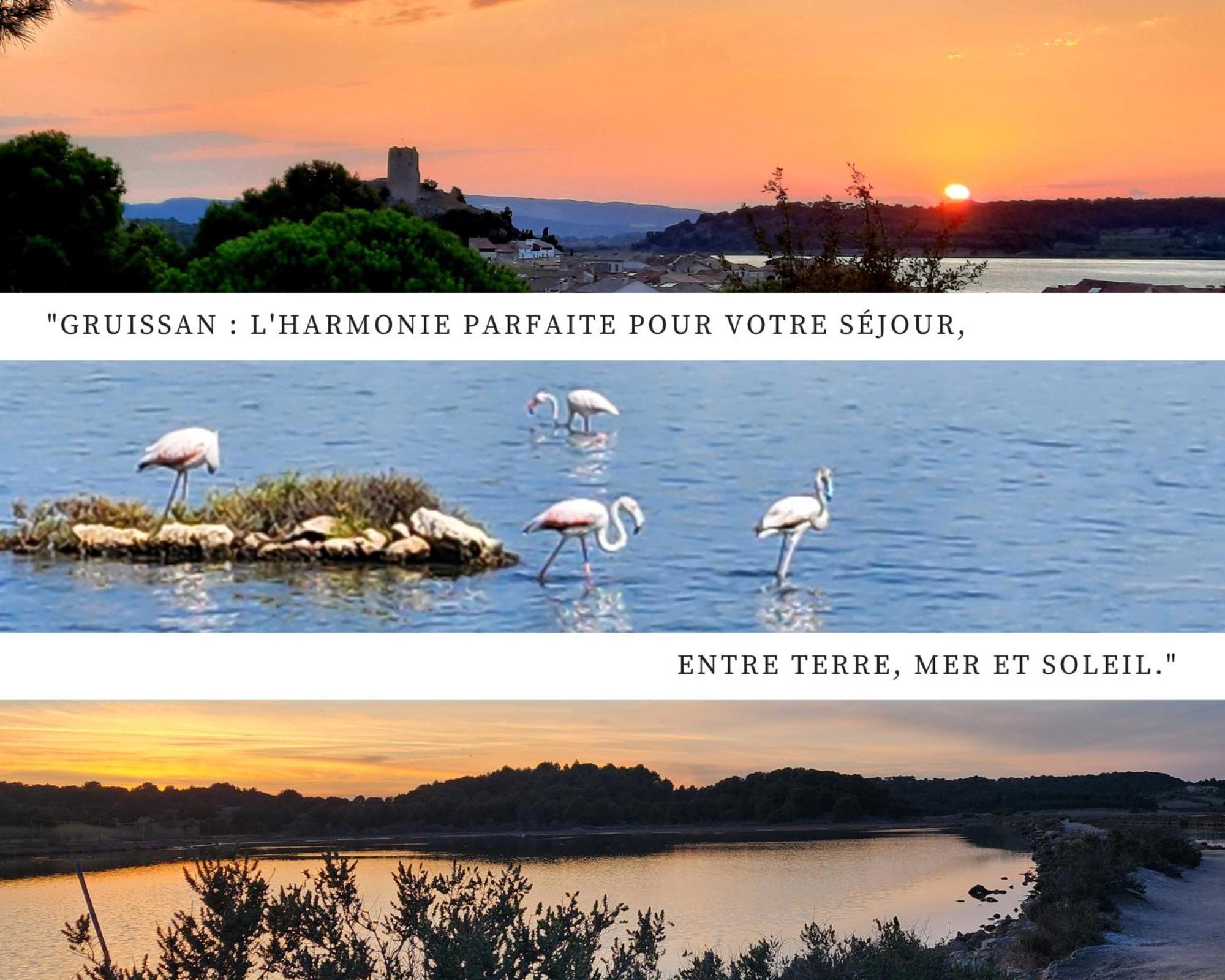 L'Eden - Vue Magnifique Sur Le Port, Les Chalets & La Mer - Gruissan Extérieur photo